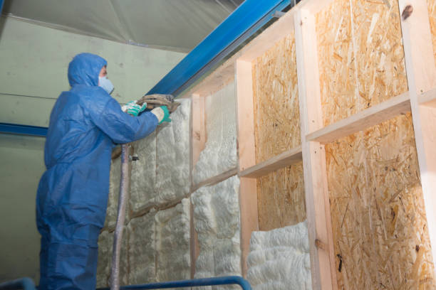 Insulation Inspection Services in Pine Bluffs, WY